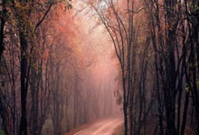 蓝鲸体育:“熊猫杯”国际球锦标赛将于11月举行 国青队参赛.