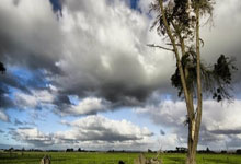 蓝鲸体育:31+21+17!快船轻取篮网,赢球谁是关键?哈登正负值+34.