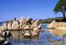 最好的英超后卫,努里本赛季进球&助攻第一.